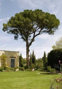 Villa Malavolta 스칸디치 외부 사진